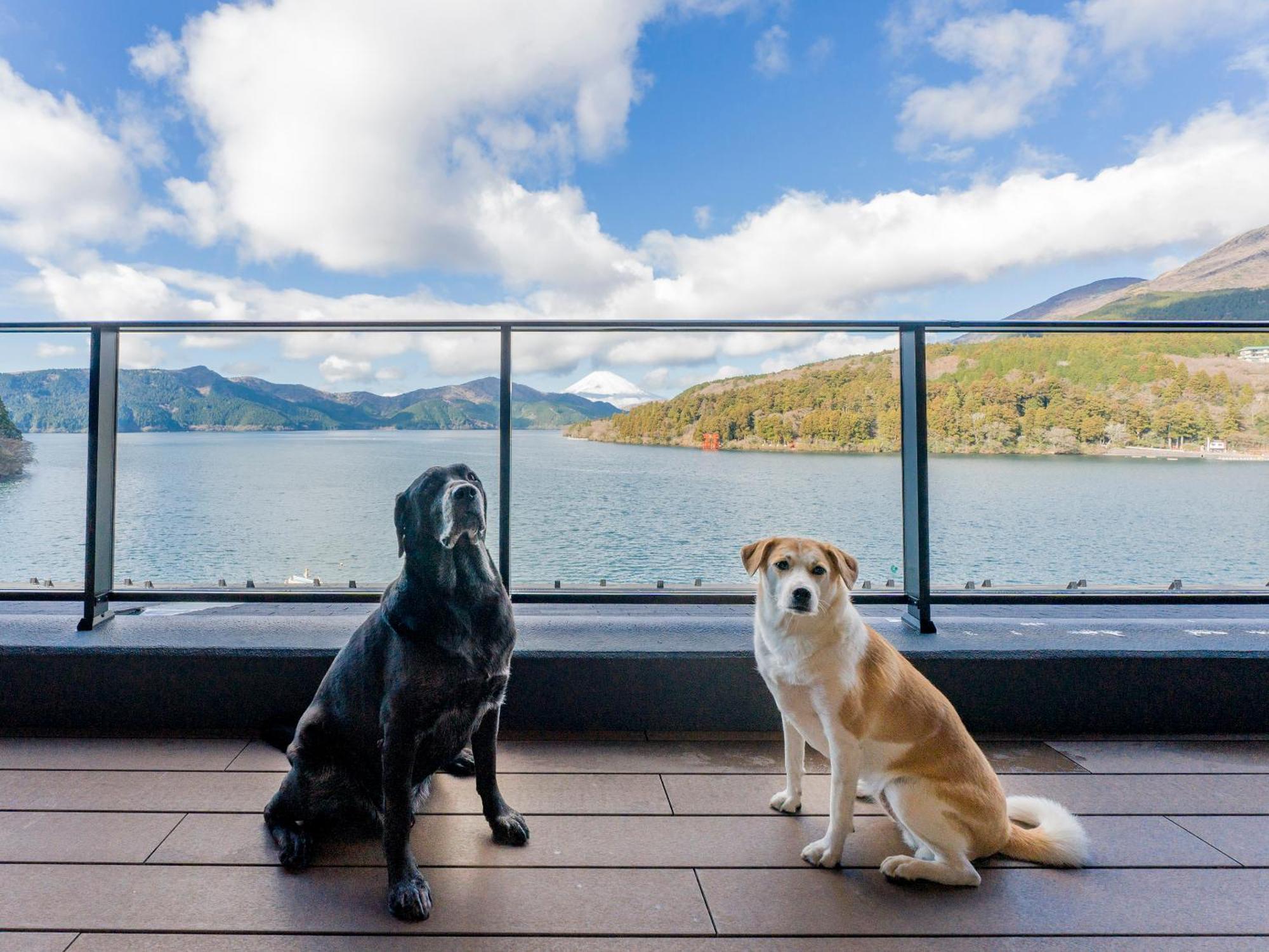 Rakuten Stay Fujimi Terrace Hakone Ashinoko エクステリア 写真