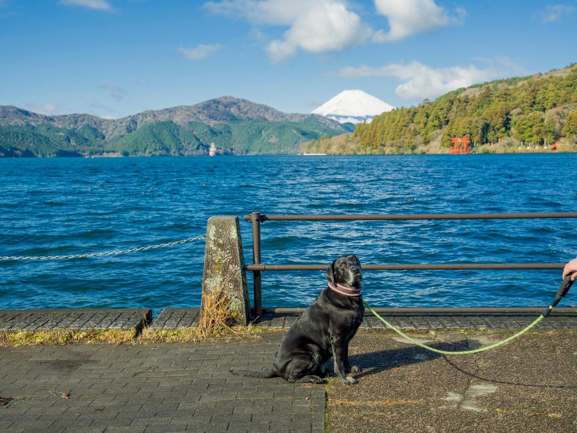 Rakuten Stay Fujimi Terrace Hakone Ashinoko エクステリア 写真